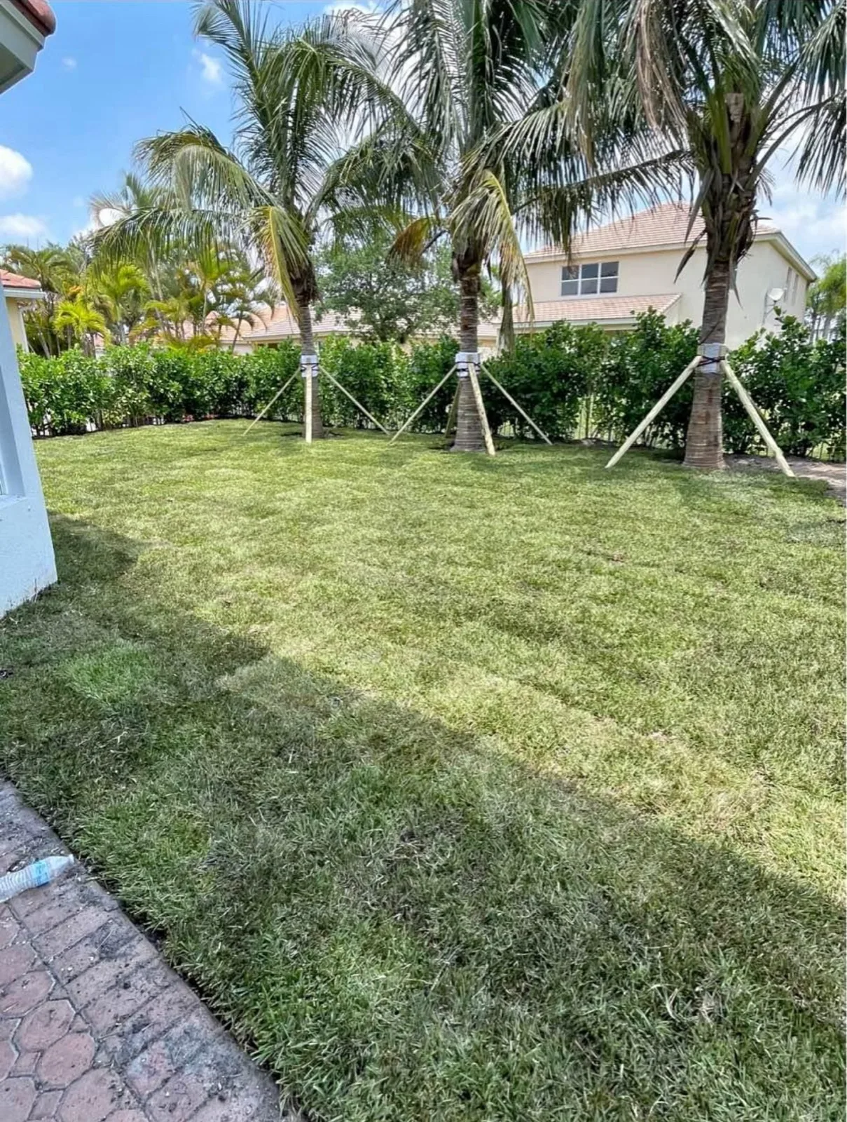 Freshly mowed, striped lawn after a Pompano Beach lawn maintenance service